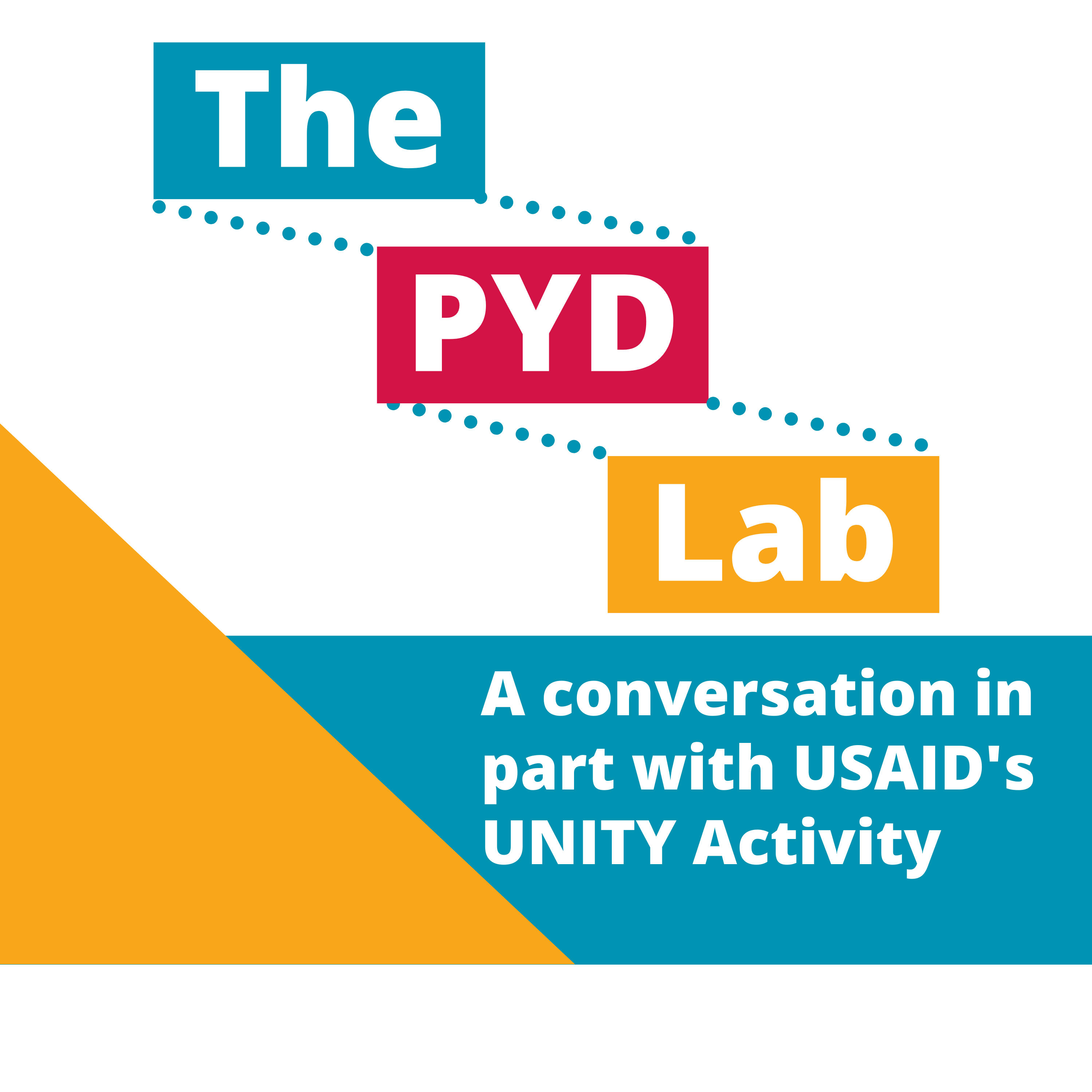 An image of the PYD Lab cover