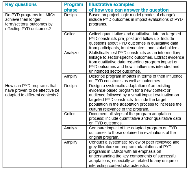 Potential strategies to address Theme 1: Understanding How PYD Programs Achieve Positive Impact in LMICs