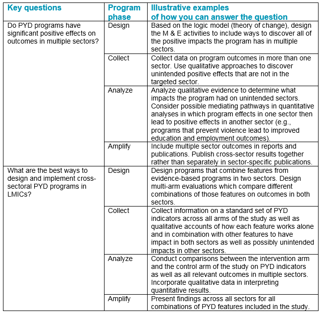 Potential Strategies to Address Theme 2: Cross-Sectoral Impact of PYD Programs