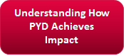 Understanding How PYD Achieves Impact