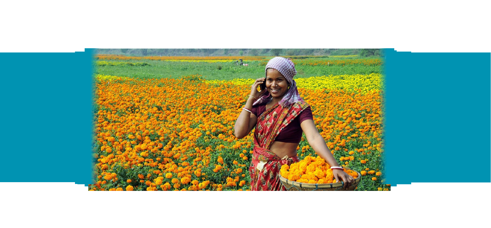 Photo credit: Photoshare A girl on her cell phone in a field of flowers. Photo credit: Photoshare